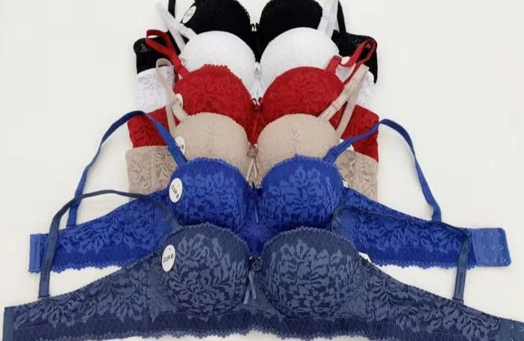 Double Padded Lace Bra | Fancy Push Up bra for Women Feminine Lace Bra